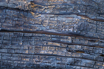 .burnt wood, texture, background, fire, embers, woody