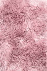 Sheep fur pink sheepskin rug background