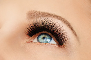 Naklejka premium Female eye with extreme long false eyelashes and black liner. Eyelash extensions, make-up, cosmetics, beauty