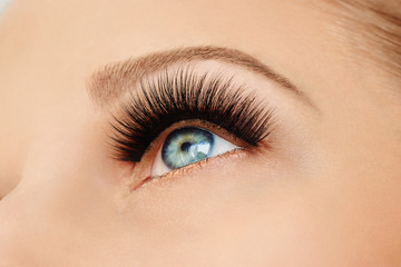 Fototapeta premium Female eye with extreme long false eyelashes and black liner. Eyelash extensions, make-up, cosmetics, beauty