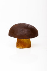 Porcini isolated white background. White mushrooms