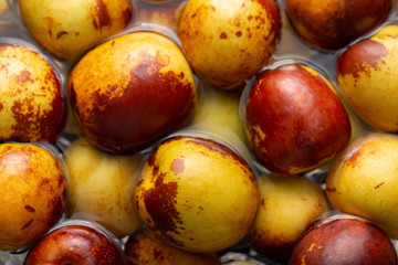 winter jujube in salty water