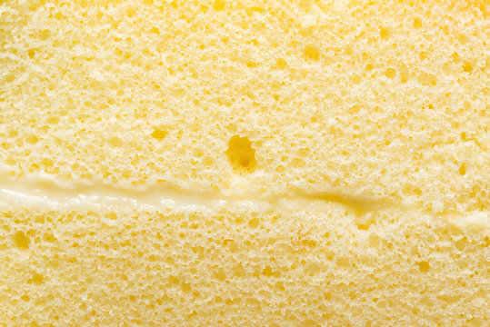 sponge cake close up as background and texture