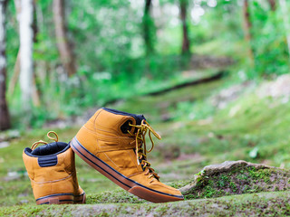  Hiking boots on the bright green moss passage trail in forest