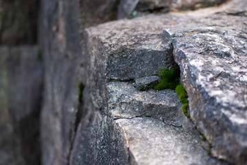 Roks with moss background in career near lake.