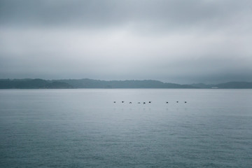 A dramatic, overcast scenery on the coeast of fjord during a ferry ride in Norway near Bergen....