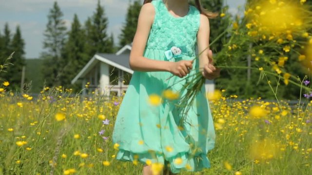 Little girl picking flowers on meadow 
