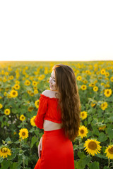 Naklejka na ściany i meble Beauty joyful girl in sunflower field