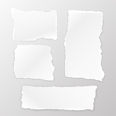 Torn Square paper set on the white background. Vector illustration