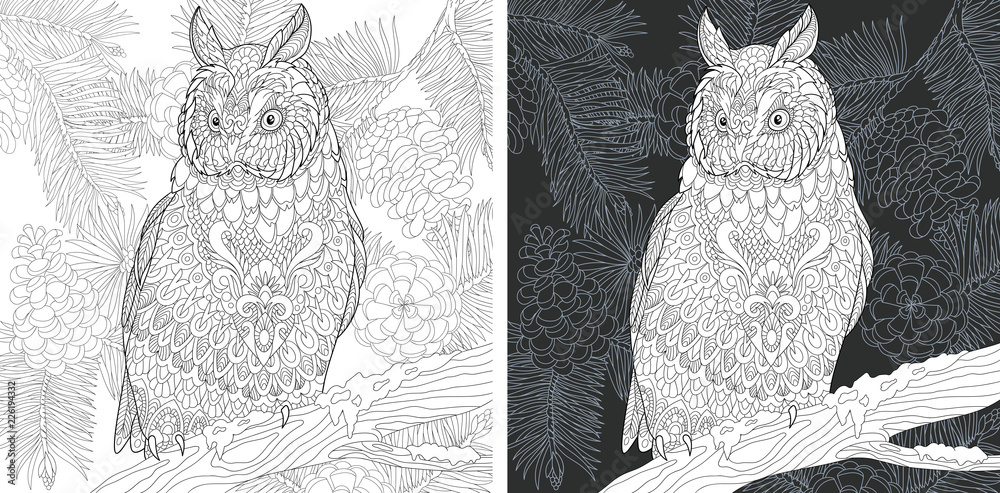 Poster Owl in forest. Fir tree branches. Coloring Page. Coloring Book.