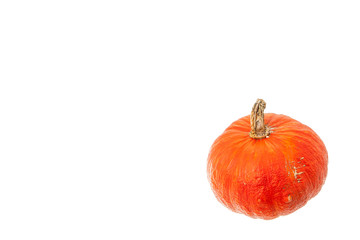 orange pumpkin crop isolated on white background