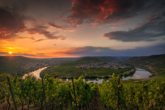 Moselle Intoxication