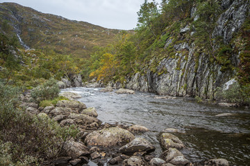 A beautiful mountain river rapids in mountains of Folgefonna National park in Norway. Autumn landscape of a river rapids.