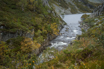 A beautiful mountain river rapids in mountains of Folgefonna National park in Norway. Autumn landscape of a river rapids.