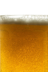 Sparkling and alcoholic beer
