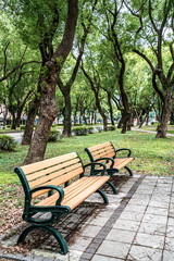 Taipei, Taiwan - June 18, 2018: Park, a chair in the park, relaxing, Banyan trees on Dunhua Road, Taipei. feeling calm