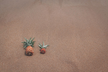 The pineapple is lying on sand near sea water