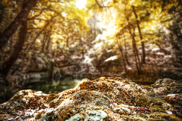 Autumn time background of free space for your decoration 