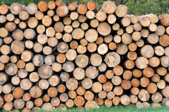 Holz Dekor Vorlage baumst&auml;mme Stappel Holz