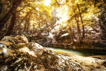 Autumn time background of free space for your decoration 