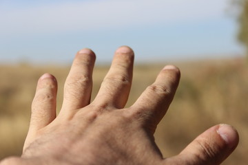 hand in the distance