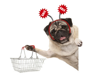 happy smiling pug puppy dog, holding up shopping basket, wearing diadem with red sale sign, isolated on white background