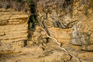 Felsenküste Insel Rab Kroatien