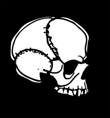 Skull Vector illustration,