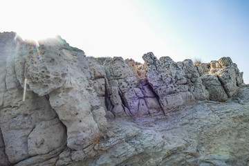 Felsenküste Insel Rab Kroatien