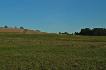 Fototapeta premium Feld an sonnigem Herbsttag