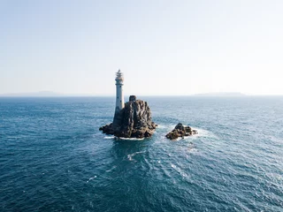 Foto op Plexiglas Fastnet lighthouse at summer © timursalikhov