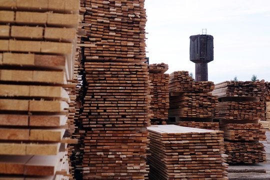 Plant for the production of wood boards. Pilorama. The concept of production, manufacturing and woodworking.