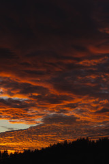 Clouds lit orange by sunset, gradient from darker to brighter. Fallstreak hole with blue sky in the bottom left.