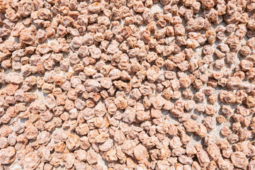 dry plum background
