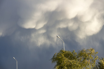 Autumn stormy gray hanging sky above lampposts and willow tree