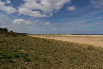Grass area and sand dunes on the beach at Wells-next-the-Sea