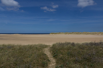 Fototapeta na wymiar Sand dunes and the beach at Wells-next-the-Sea