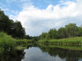 Fototapeta na wymiar Rural calm river on sunny day