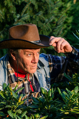 Senior adult man or a farmer, in a brown cowboy hat, looks out of the bushes and makes a grimace. Concept of active leisure for middle-aged and older people. Vertical.