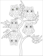 Coloring book for adult and older children. Coloring page with cute owl and floral frame. Outline drawing in zentangle style