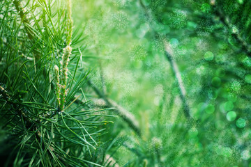 Christmas background with fir branches, glow, snowflakes and bokeh.