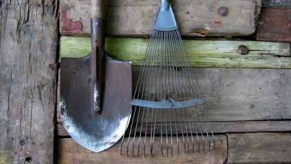 old garden tools. fan rake and shovel on old wooden boards