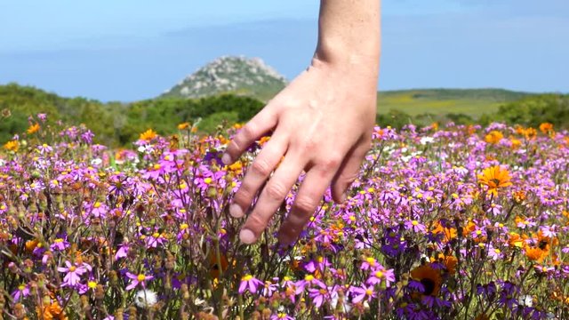 Close up of girl playing with flowers