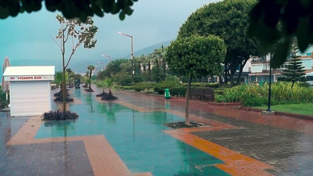 Rain on the street