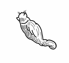Kitty delicate lines of black and white 2D illustration.
