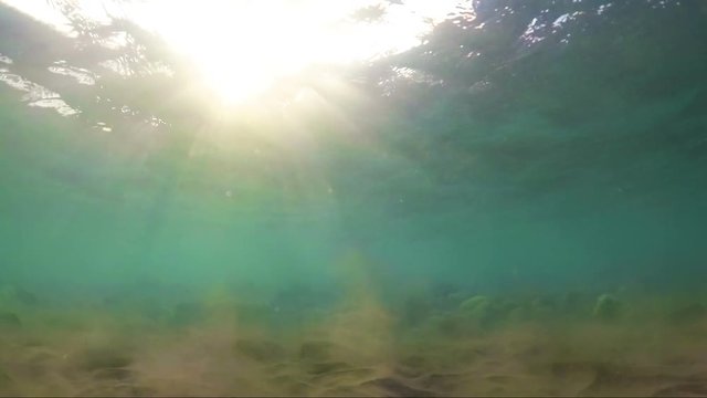 Fondo marino con rayos del sol a trav&eacute;s de las olas del mar.Imagen id&iacute;lica del fondo del oc&eacute;ano.