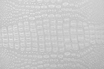 Monochrome crocodile leather texture.