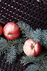 Branches of blue spruce and ripe fragrant apples. Against the background of a wicker vine.