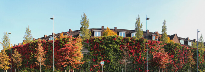Lärmschutzwand am Wohngebiet mit Herbstlaub