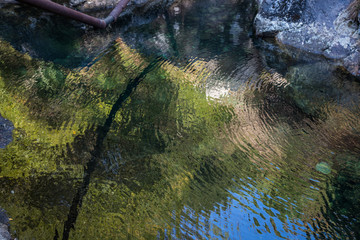 Water texture with reflection of green surrounding
